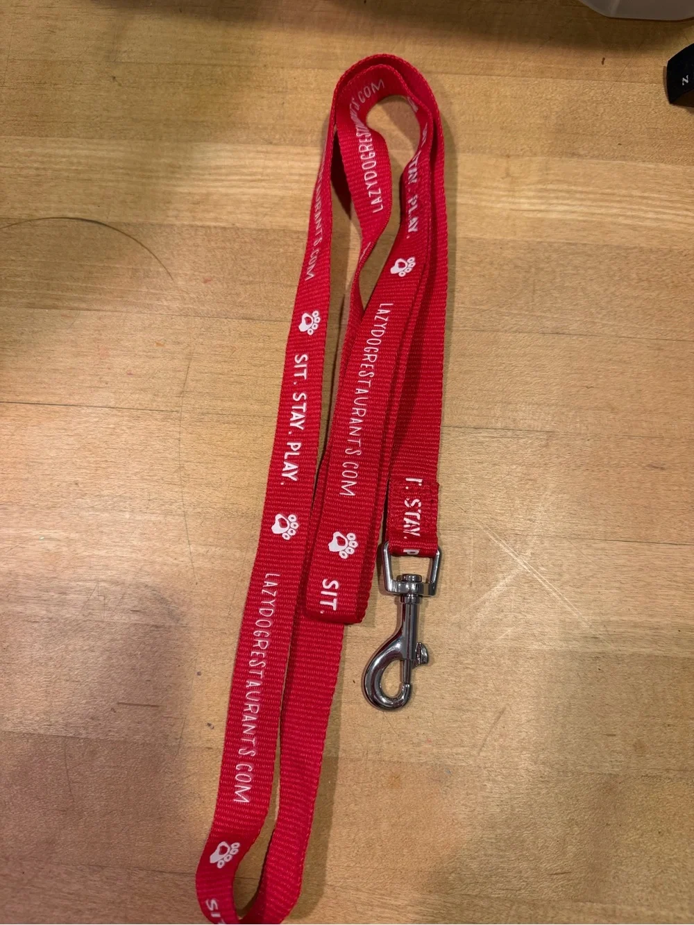 Lazy Dog Restaurant Leash